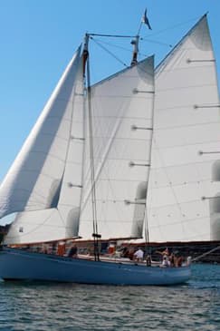 Sightseeing Day Sail around Boston Harbor