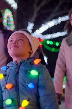 Kennywood Holiday Lights: Entry Ticket