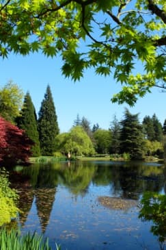 VanDusen Botanical Garden: A green city-centre oasis