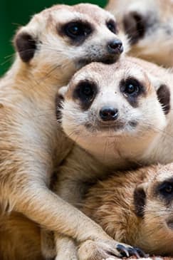 Terra Natura & Aqua Natura Murcia