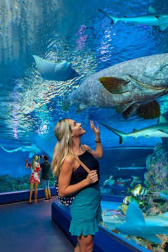 Cairns Aquarium: Entry Ticket