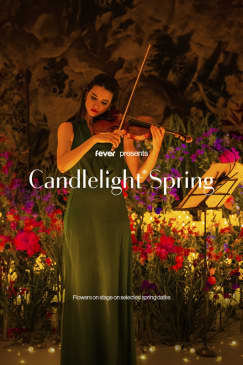 Candlelight: The Best of Hans Zimmer