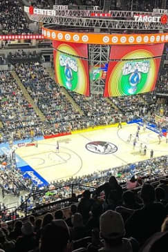Minnesota Timberwolves Basketball Game Ticket at Target Center