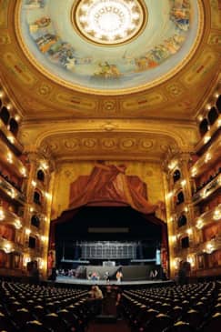 Tour a pie + Visita guiada al Teatro Colón