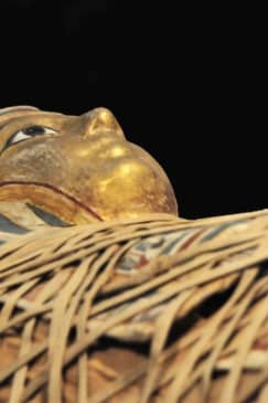 Museo Egizio di Torino: visita guidata Skip-The-Line