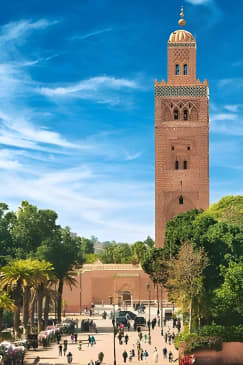 Souk and Hidden Sites of the Old Medina