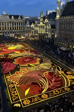 Le Roy d'Espagne - Dîner Tapis de Fleurs