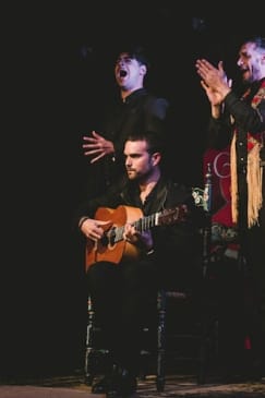 Espectáculo Flamenco Tradicional en Casa Ana Granada