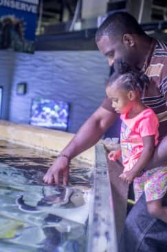 San Antonio Aquarium