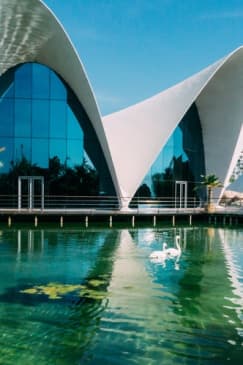 Oceanogràfic de Valencia: Entrada