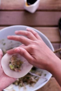 Handmade Dumplings - Houston