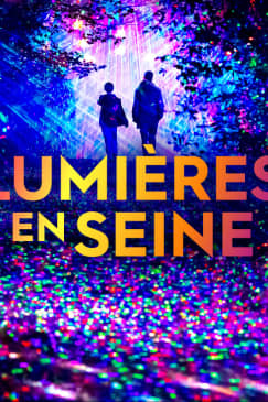 Lumières en Seine : le parcours illuminé et musical des fêtes de fin d’année
