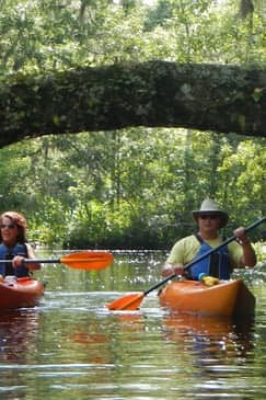 Lofton Creek Kayaking Trip with Professional Guide