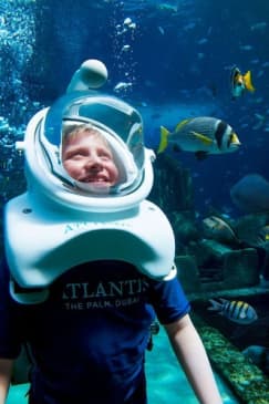 Dubai Atlantis: Aquaventure Waterpark + Shark Safari or Snorkel Experience