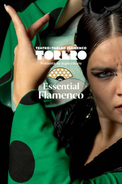 Essential Flamenco: The Most Authentic Flamenco Experience in Madrid