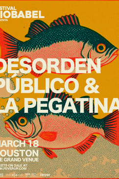 Desorden Público & La Pegatina in Houston