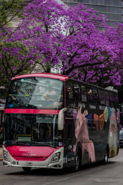 Hop On / Hop Off Tour CDMX