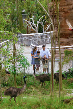 Singapore Bird Paradise: over 5,000 birds and 400 species!