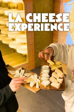 The Cheese Experience: An Immersive Tasting Journey Where Cheeses Come to Life!