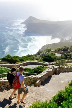 Cape Point and Boulder's Penguins Full Day Tour