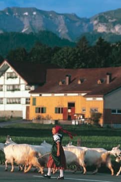 Tagesausflug: Schweizer Käse, Schokolade und Berge
