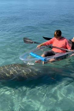 Clear Kayak Tour in Jupiter