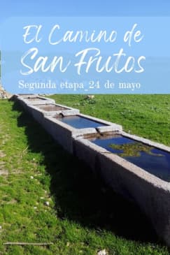 Camino de San Frutos: Second Leg:  Espirdo - Santo Domingo de Pirón