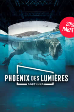 Phoenix des Lumières Kombi-Ticket