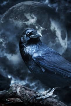 Edgar Allan Poe Speakeasy Toronto