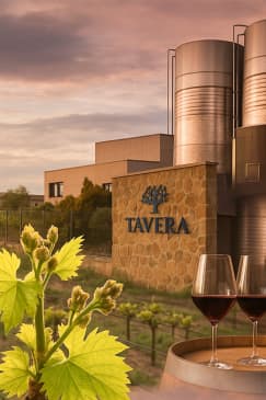 Bodega Tavera: Visita