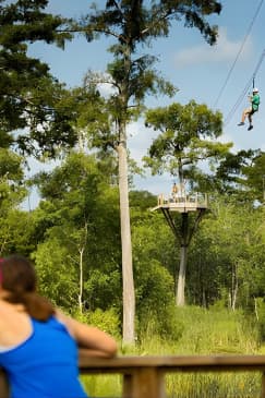 New Orleans Zipline Swamp Tour