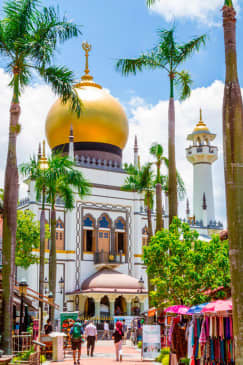 City Highlights: Chinatown, Little India & Kampong Gelam Tour