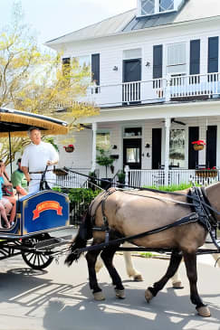 Daytime Horse-Drawn Carriage Sightseeing Tour of Historic Charleston