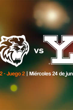 Tigres vs Leones Serie 12 Juego 2