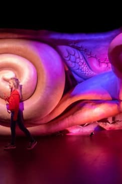 CORPUS: Toegangsticket + Audiogids