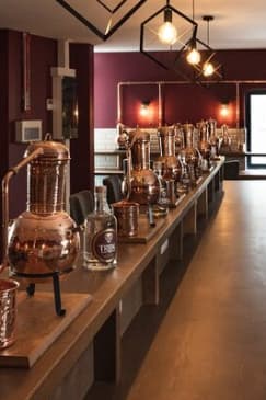Tribe Gin School Experience in Galway