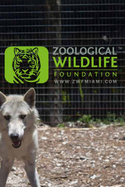 Zoological Wildlife Foundation Miami