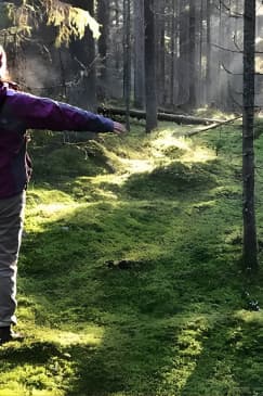 Hiking Experience in a National Park with Backpacker Helsinki Tour