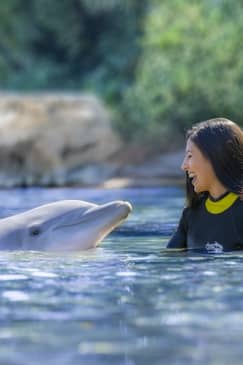 Discovery Cove