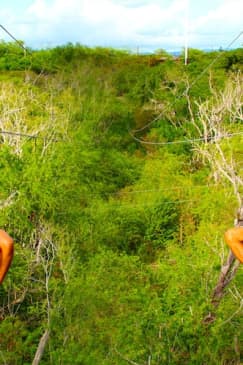 Coral Crater Park: Zipline & Adventure Tower
