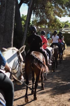 🐎 Aventura a Caballo en Alcudia – ¡1 hora de Naturaleza y Diversión con Click Mallorca! 🌿