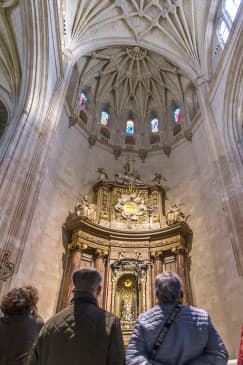 ﻿Guided visit to the Cathedral of Segovia