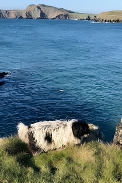 Placenames & Their Amazing Stories: includes a West Cork Picnic