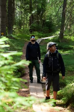 Magical Taiga Forest Hike with Lunch and Transportation