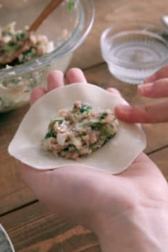 Handmade Dumplings - Sacramento