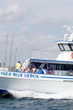 Half-Day Deep-Sea Fishing at Riviera Beach