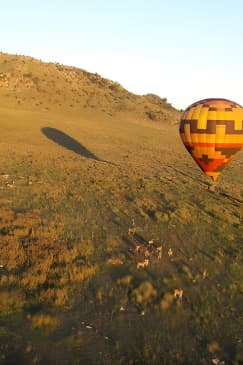 Exclusive Safari Flight