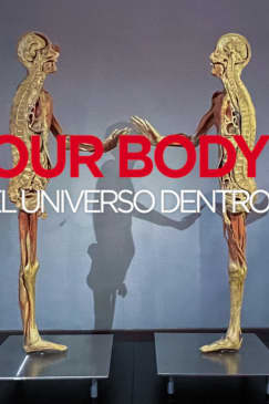 ﻿Our Body: The Universe Within - The Experience