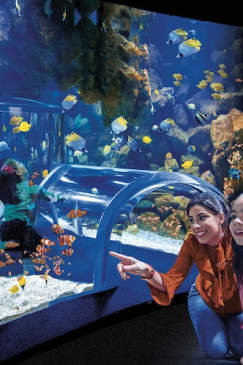 Poema del Mar - Acuario Gran Canaria: Entrada sin colas