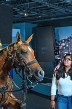 National Medal of Honor Heritage Museum Admission Ticket in Chattanooga